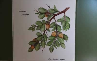 Piastrella cucina elementi botanici (1)
