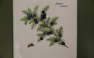 Piastrella cucina elementi botanici (2)