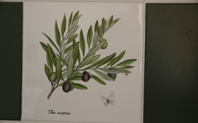 Piastrella cucina elementi botanici (3)