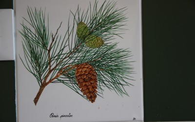 Piastrella cucina elementi botanici